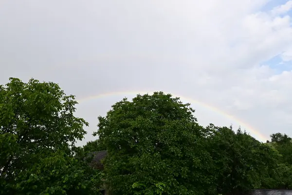 Gökkuşağı üstüne fırtına, Almanya