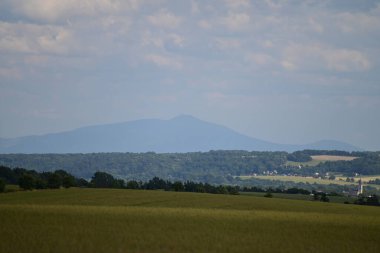 Geniş yeşil tarlası olan güzel bir manzara.