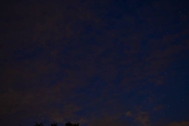 Yıldızlı gece gökyüzü Yazın yıldızlar ve ağaçlarla