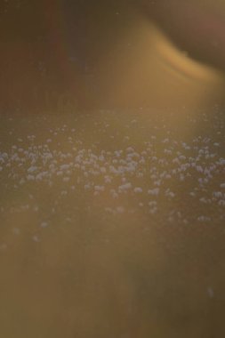 Doğal su damlasının güzel manzarası