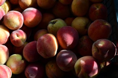 yakın plan - şeftalilerin siyah arkaplandaki görüntüsü