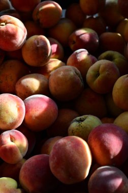 Sepet içinde taze organik şeftali