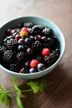 Fesleğenli domates salatası, kırmızı soğan ve kızarmış ekmek..