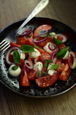 domatesli salata, soğan, otlar ve baharatlar