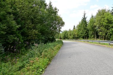 Kırsalda asfalt yol, yeşil çimenler ve ağaçlar