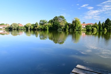 Tel 'de eski söğüt ağaçları ve pitoresk köy manzarasıyla çevrili geleneksel bir Güney Bohem göletinin güneşli gündüz manzarası. Çek kırsalının ve tarihi UNESCO kentinin cazibesini yansıtan sakin bir manzara.