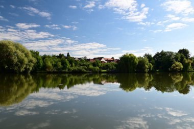 Tel 'de eski söğüt ağaçları ve pitoresk köy manzarasıyla çevrili geleneksel bir Güney Bohem göletinin güneşli gündüz manzarası. Çek kırsalının ve tarihi UNESCO kentinin cazibesini yansıtan sakin bir manzara.