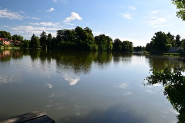 Tel 'de eski söğüt ağaçları ve pitoresk köy manzarasıyla çevrili geleneksel bir Güney Bohem göletinin güneşli gündüz manzarası. Çek kırsalının ve tarihi UNESCO kentinin cazibesini yansıtan sakin bir manzara.