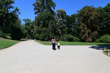 İnsanlar sabahları parkta yürüyorlar.