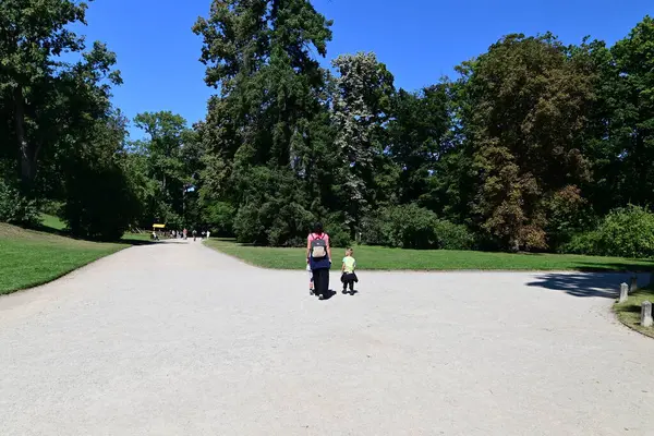 İnsanlar sabahları parkta yürüyorlar.