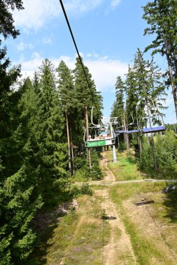 Dağ ormanında yükseliş