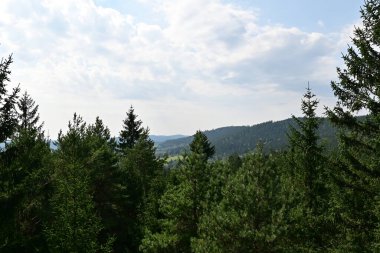 Ağaçlar ve dağlar, yaz yatay