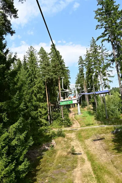 Ormanın arka planında teleferik.