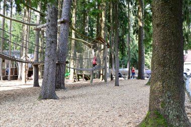 Çek Cumhuriyeti 'nin Lipno kentindeki Treetop Geçidi' nin tahta gözlem kulesinde duran turistler. Sumava Dağları 'nın yemyeşil ormanı, mavi gökyüzü ve panoramik manzaralı manzarası.. 