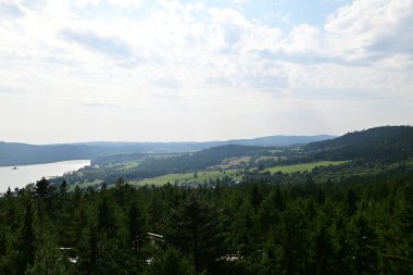 Ormanın güzel manzarası