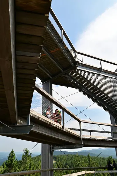 Şehir parkındaki insanlar