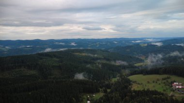 Ormanın ve dağların hava görüntüleri.