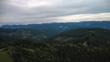 Ormanın, dağların ve ormanın havadan görünüşü