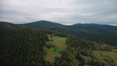 Ormandaki Ukraynalı Karpatların hava görüntüsü. Sonbahar günü. Drone görünümü.
