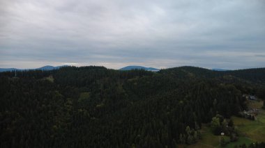 Dağlardaki ormanın havadan görünüşü