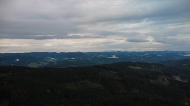 dağ ormanıhavadan görünümü