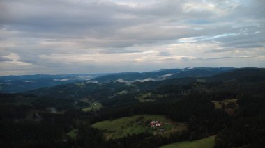 Bir dağ ve ormanı olan güzel bir manzara.