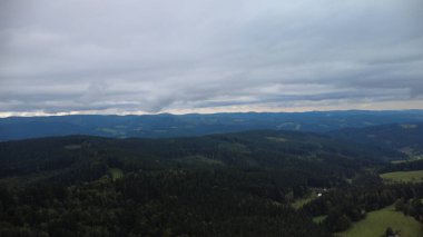 Beyaz bulutlu yeşil bir ormanın güzel bir görüntüsü.