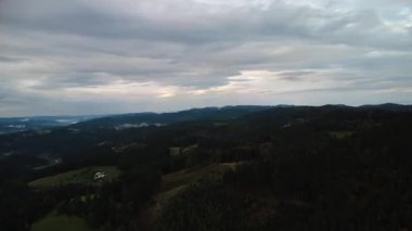 Ormanın güzel manzarası