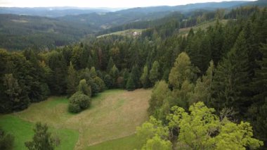 Sonbaharda ormanın güzel hava manzarası