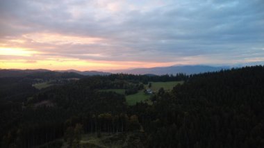 Ormanda gün batımı