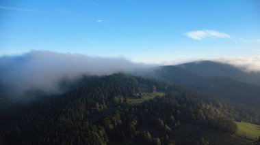 Sabahları ormanın dağlarının havadan görünüşü