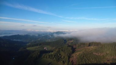 Sabahleyin İsviçre Alpleri 'nin ormanı üzerindeki hava aracı görüntüsü