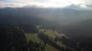 Sisteki bir ormanın güzel bir görüntüsü.