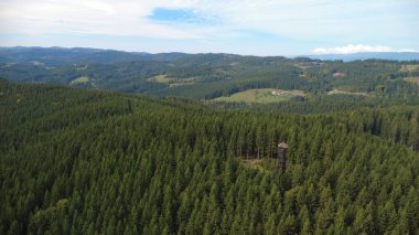 Dağlardaki ormanın havadan görünüşü