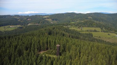 Ukrayna Karpatları 'nın güzel manzarası.