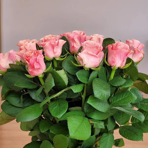Красивий Великий Букет Рожевих Троянд Сірій Стіні Фото Обробки Натуральне — стокове фото