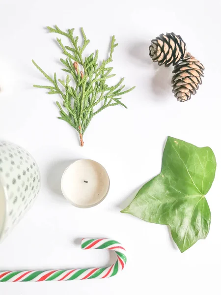 WInter Christmas set with candle, candy, pine cones, green leave and spruce branch on the white background. Flat lay.