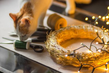 Merak kırmızı ve beyaz kedi kokusu ve masada çiçekçi aletleriyle çelenk ışıklarıyla oynamak. Noel çelengi yapmak için eko saman tabanı. Şirin evcil hayvanlı ev işyeri. Diy kavramı.