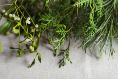 Noel ağacının farklı dalları, çam ve kozalaklı, ökseotu ekili ve beyaz böğürtlenli, kış yılbaşı süsü yapmak için. Mesaj için yer var. Çiçeksel el yapımı ve diy konsepti.