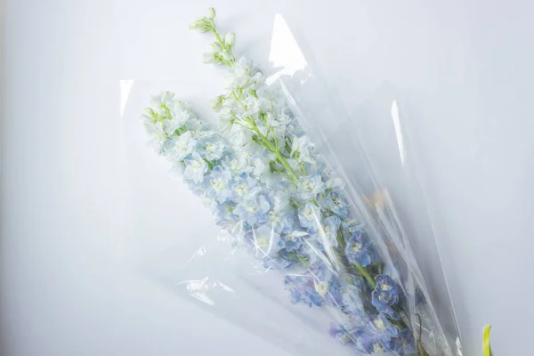 Bouquet of blue delphinium flowers wrapped in transparent paper, isolated on white background. Larkspur flower of delphinium Elatum ready to florist\'s delivery. Small business concept.