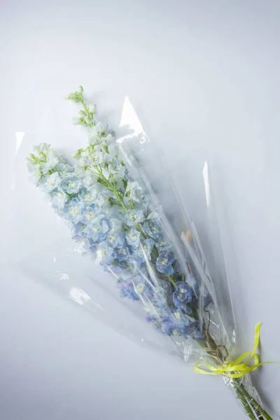 Bouquet of blue delphinium flowers wrapped in transparent paper with yellow ribbon isolated on white background. Larkspur flower of delphinium Elatum ready to florist delivery. Small business concept.