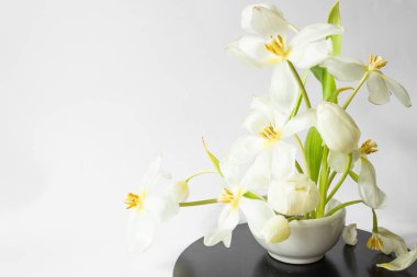  Ikebana of beautiful white tulips on kenzan in white vase. Eco trends. For easter decoration in spring at home. High quality photo