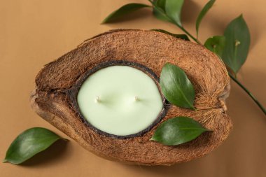 Yeşil ruskus yapraklarıyla süslenmiş, bej arka planda izole edilmiş, doğal kahverengi hindistan cevizi kabuğunda iki filizli soya mumu manzarası. Sıfır atık ve geri dönüşüm kavramı. Ev dekorundaki yankı eğilimleri.