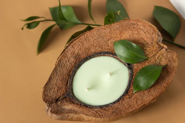 Yeşil ruskus yapraklarıyla süslenmiş, bej arka planda izole edilmiş, doğal kahverengi hindistan cevizi kabuğunda iki filizli soya mumu manzarası. Sıfır atık ve geri dönüşüm kavramı. Ev dekorundaki yankı eğilimleri.