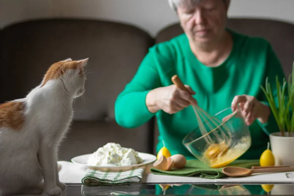 Gato Rojo Blanco Sienta Mesa Cocina Observa Cómo Abuela Bate —  Fotos de Stock
