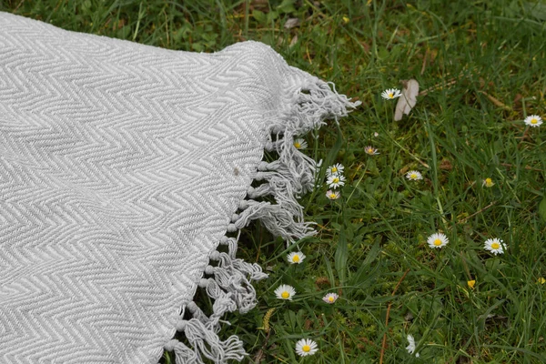 stock image Picnic knitted grey blanket on the meadow with green grass and spring daisy flowers. Tourism and leisure concept. Summer weekend on picnic in summer park.