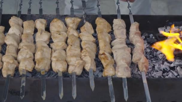 Kook Stokjes Rauwe Shish Kebab Kolen Van Grill — Stockvideo