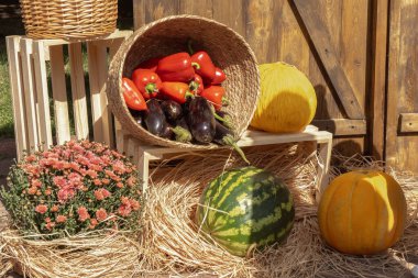 Patlıcan, dolmalık biber, kavun, mevsimlik çiçeklerle süslenmiş karpuz eski ahşap bir düzenlemeye karşı. Hasat festivali
