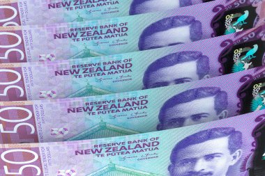 Yeni Zelanda Doları banknotları. Dış Döviz Borsası. Mali Konsept