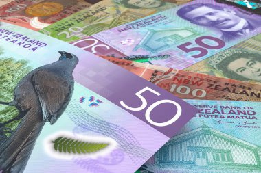 Yeni Zelanda Doları banknotları. Dış Döviz Borsası. Mali Konsept